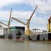 Grupos vietnamita y belga cooperan en construcción de muelles en puerto de Hai Phong