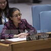 Vietnam interviene en plenario de Asamblea General de ONU relativo a océanos y derecho del mar