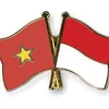 Vietnam e Indonesia agilizan cooperación en seguridad