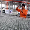 Realizan exitosamente subasta de acciones de compañía vietnamita SABECO