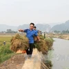 Provincia vietnamita de Quang Ninh avanza en construcción de nuevas zonas rurales