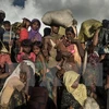 Los primeros rohingyas serán repatriados a Bangladesh en enero de 2018
