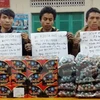 Compleja situación de contrabando de petardos en áreas fronterizas vietnamitas ante la llegada del Tet