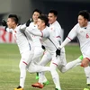 Fútbol vietnamita busca elevar posición en arena regional y mundial