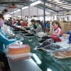 Grupo sudcoreano CJ inaugura nueva fábrica de piensos en Vietnam