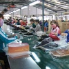 Vietnam, segundo mayor exportador de zapatos del mundo