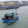 Entidades vietnamitas se encargan de toda la transportación doméstica por vía marítima