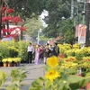 Celebran festival de flores en Ciudad Ho Chi Minh