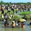 Reino Unido y Myanmar deliberan cuestión de rohinyá
