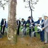 Inician en Hanoi festival de plantación de árboles