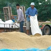 Tailandia recomienda ralentizar producción de arroz