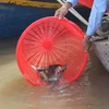 Liberan en Hanoi peces en motivo del Año Nuevo Lunar