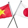 Estudiantes japoneses visitarán Vietnam mediante programa JENESYS