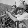 Homenaje a expremier vietnamita Pham Van Dong en aniversario de su natalicio