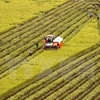 Proponen establecer mecanismo para solucionar exportaciones alimentarias a China 