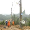 Provincia vietnamita de Phu Yen amplía red eléctrica con asistencia financiera de Japón