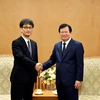 Vietnam facilita inversiones japonesas en proyectos de energía