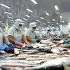 Estados Unidos aplica impuestos antidumping a pescados Tra importados de Vietnam