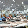 Pescados Tra de Vietnam cumplen difíciles demandas de Estados Unidos