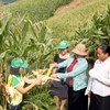 Informe de BM resalta logro de Vietnam en reducción de la pobreza