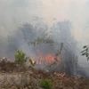 Exhortan a medidas preventivas contra incendios forestales en localidades de Vietnam