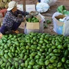 Localidades altiplánicas de Vietnam impulsan la siembra de frutas 