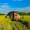 Vietnam aspira a tener 15 mil cooperativas agrícolas para 2020