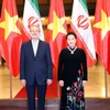 Vietnam e Irán aspiran a intercambio comercial de dos mil millones de dólares 