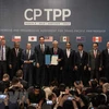 Todas las economías pueden participar en CPTPP, afirma Vietnam 