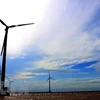 Ninh Thuan aspira a convertirse en centro de energía renovable