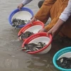 Vietnam y China por mantener sostenibilidad de recursos acuáticos en Golfo Bac Bo 