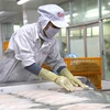  Exportadores de pescado Tra vietnamita tienden a ampliar el mercado de ASEAN