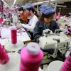 Vietnam reporta señal positiva en exportación de fibras