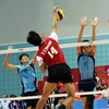 Celebrarán en Vietnam Copa internacional de voleibol