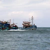 Indonesia llama a colaboración internacional para frenar la pesca ilegal