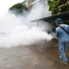 Tailandia enfrenta riesgo de un brote de dengue en el noreste del país