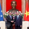 Presidente de Vietnam aboga por consolidar asociación con Micronesia