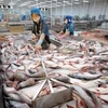 Piel de pescado, producto prometedor para exportación en Vietnam