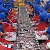 China entre los principales importadores de mariscos vietnamitas