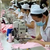 Casi 83 por ciento de empresas vietnamitas registran crecimiento estable en segundo trimestre 