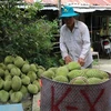 Vietnam se proponer mayor exportación de frutas a China