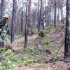 Vietnam por avanzar en mitigación de secuelas de minas remanentes de guerra