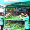 Vietnam comparte experiencias sobre agricultura verde en foro de ECOSOC