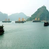 Bahía de Ha Long entre los 100 patrimonios más espléndidos del mundo