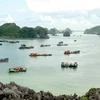 Ciudad portuaria vietnamita Hai Phong dio la bienvenida a millones de viajeros hasta julio
