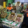 Aumentan ganancias por exportaciones de vegetales y frutas de Vietnam en lo que va de año