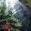 Descubren 44 nuevas cuevas en parque Phong Nha-Ke Bang en Vietnam 