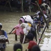 Japón y Myanmar debaten sobre crisis de los rohingyas