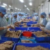 Retos de la acuicultura vietnamita para cumplir su meta de exportación 