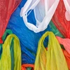 Estados Unidos aplicará impuestos antidumping sobre sacos tejidos laminados de Vietnam